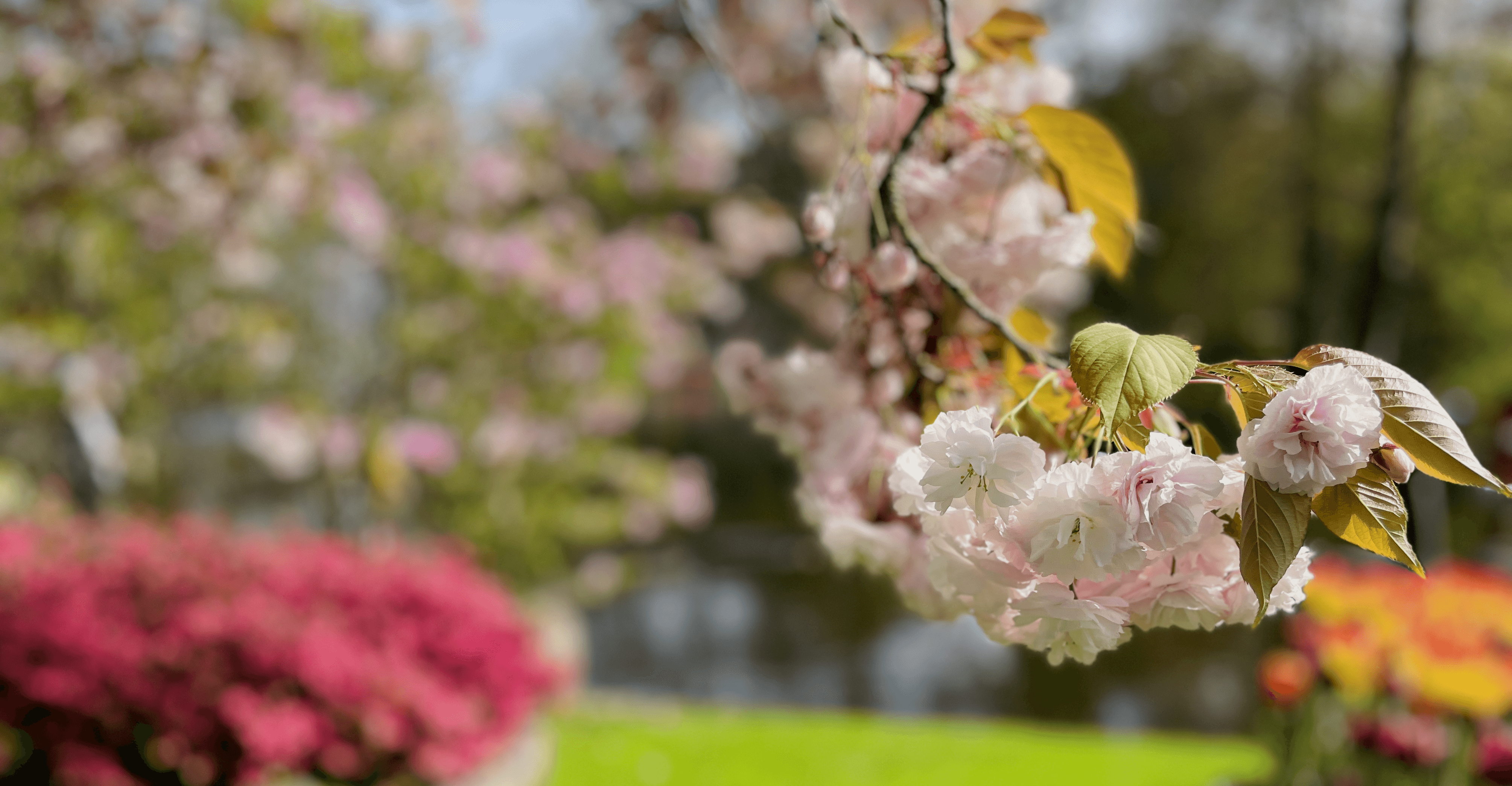 About page title image